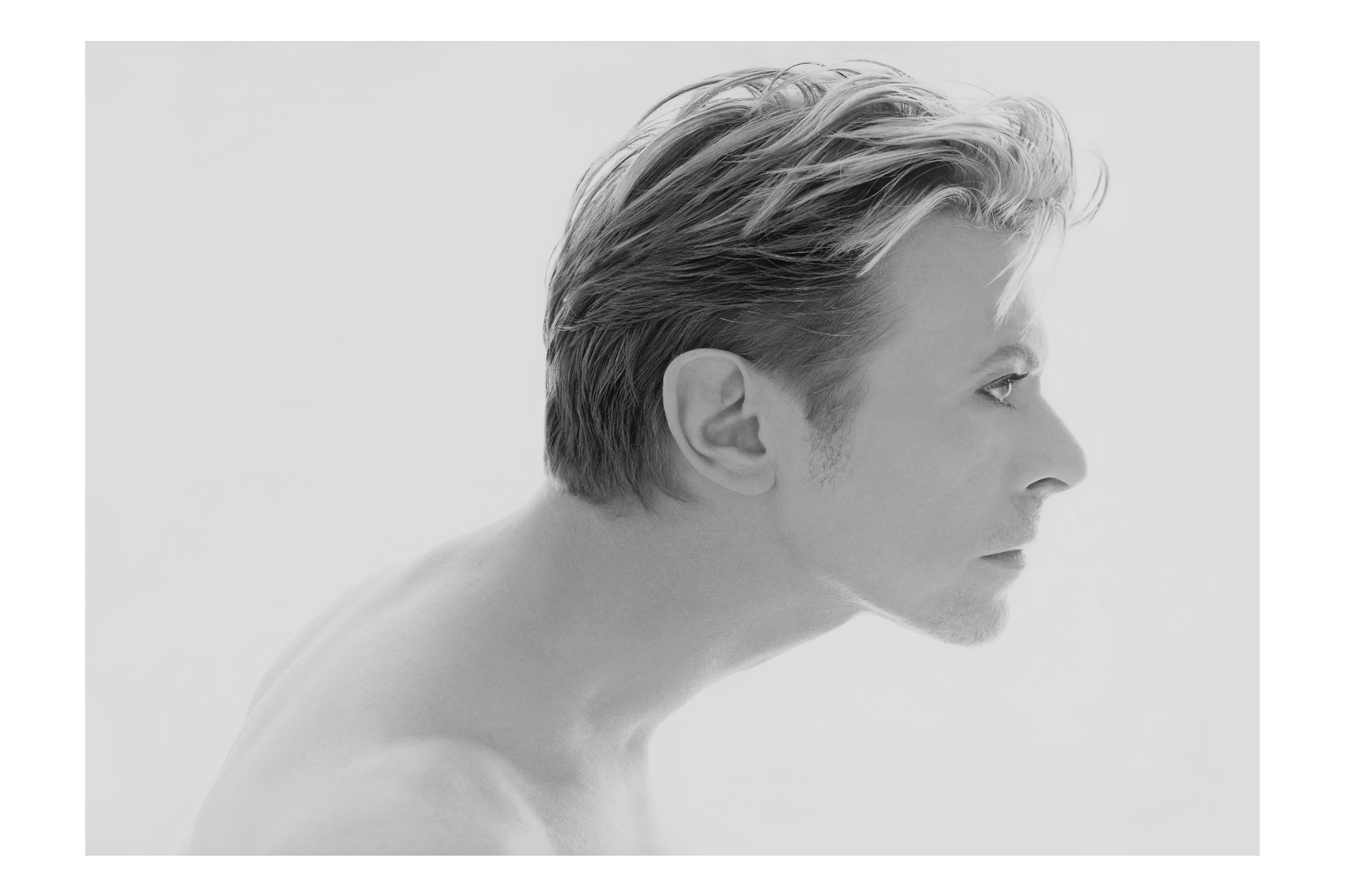 David Bowie Profile, 1995