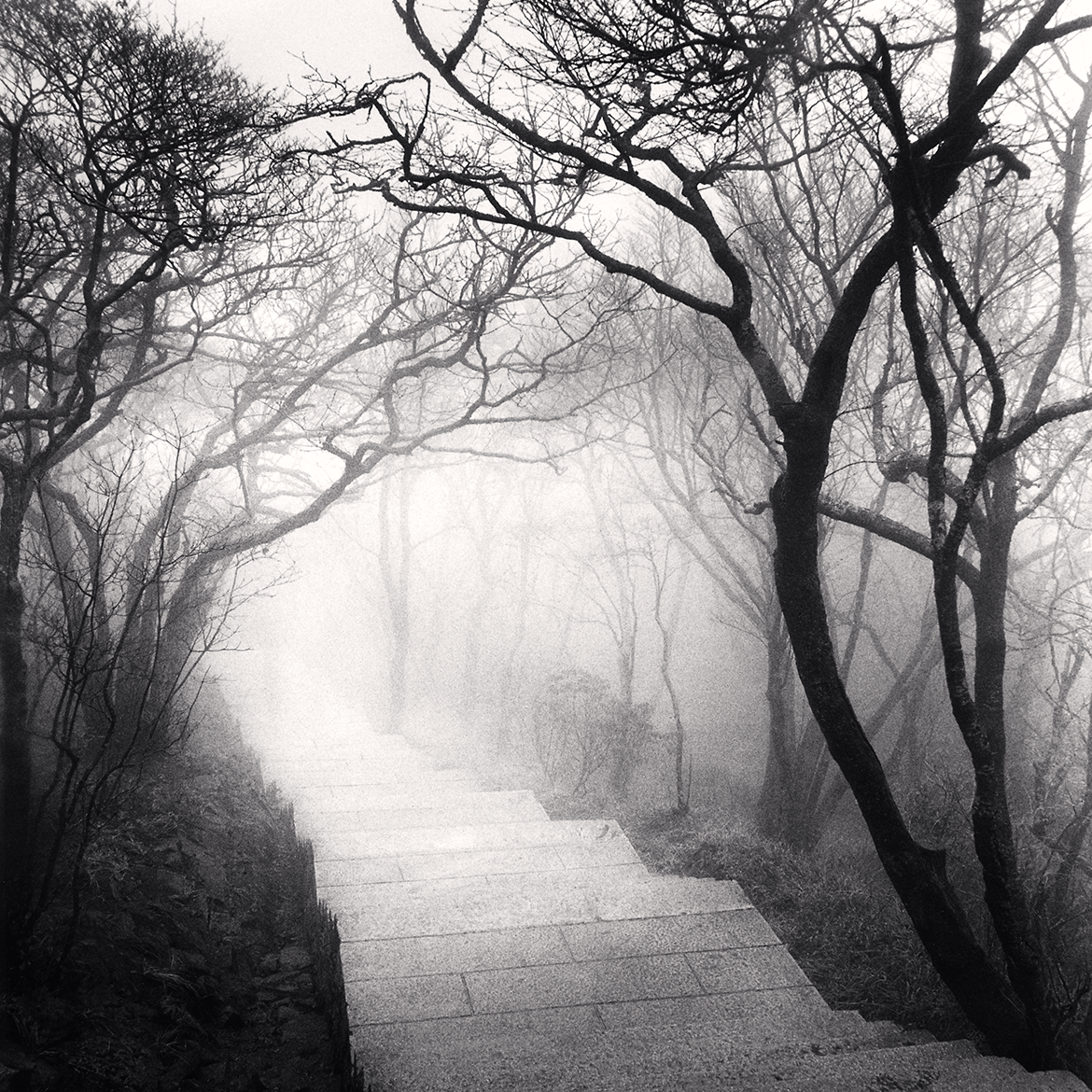 Huangshan Mountains, Study 3, Anhui, China. 2008