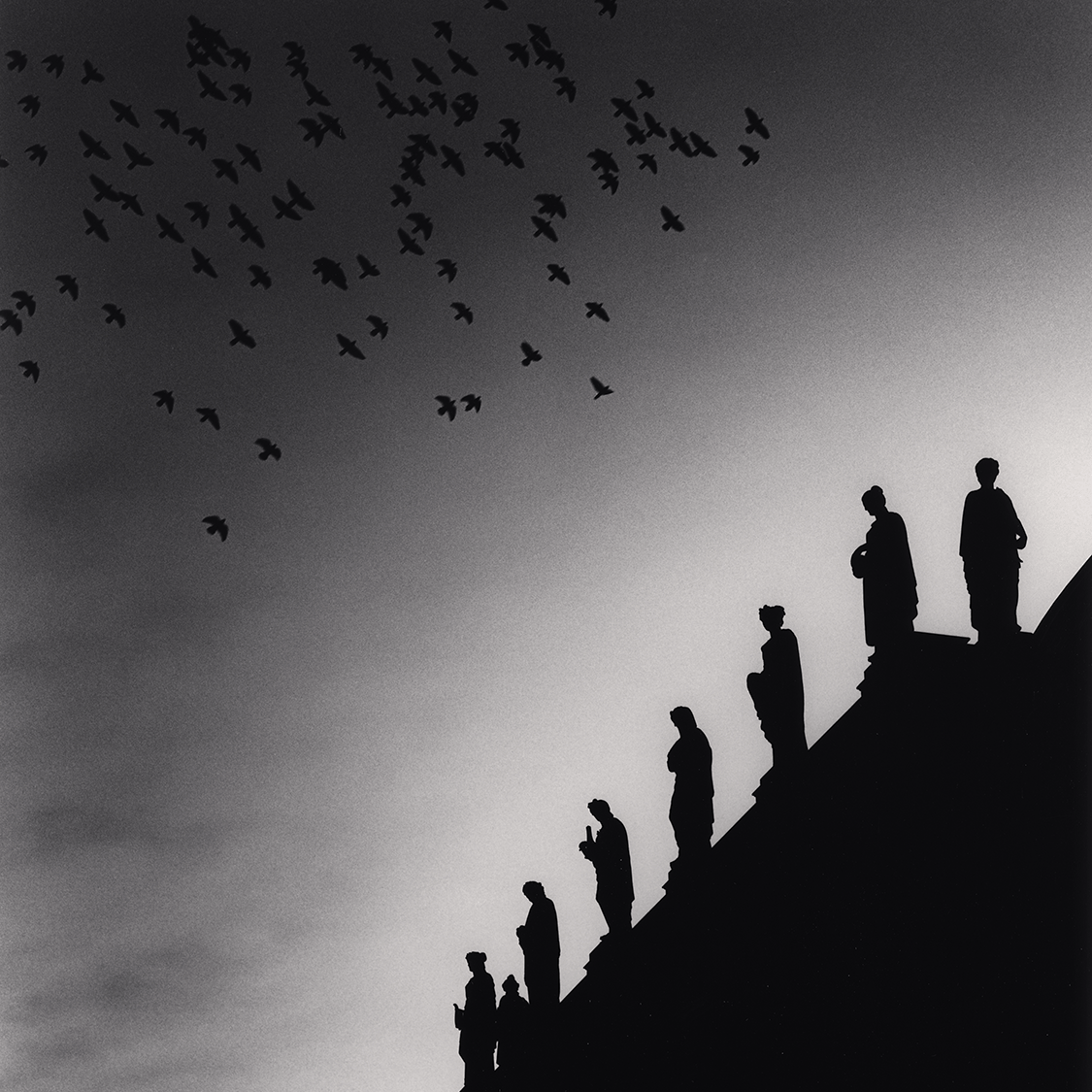 One Hundred and Four Birds, Prague, Czechoslovakia. 1992