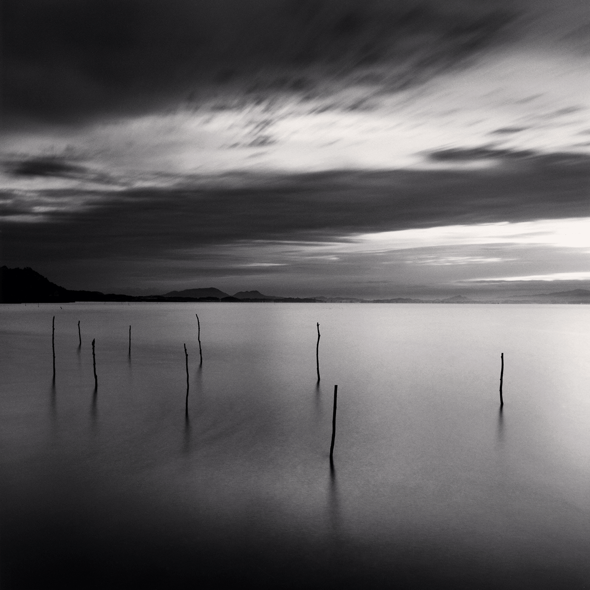 Sticks in Water, Shinji Lake, Honshu, Japan. 2001