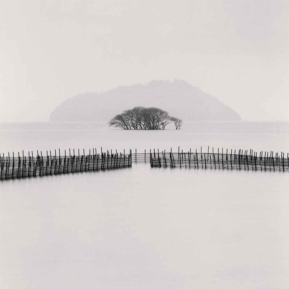 Submerged Trees, Kohoku, Honshu, Japan. 2002