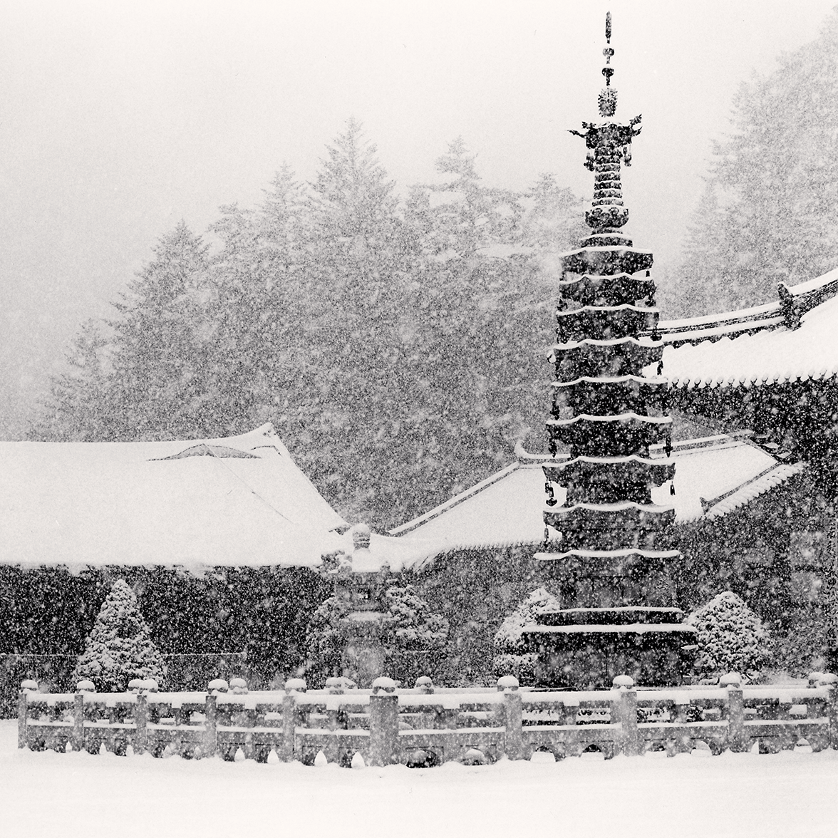 Temple Snowfall, Woljeongsa Temple, Gangwondo, South Korea. 2005