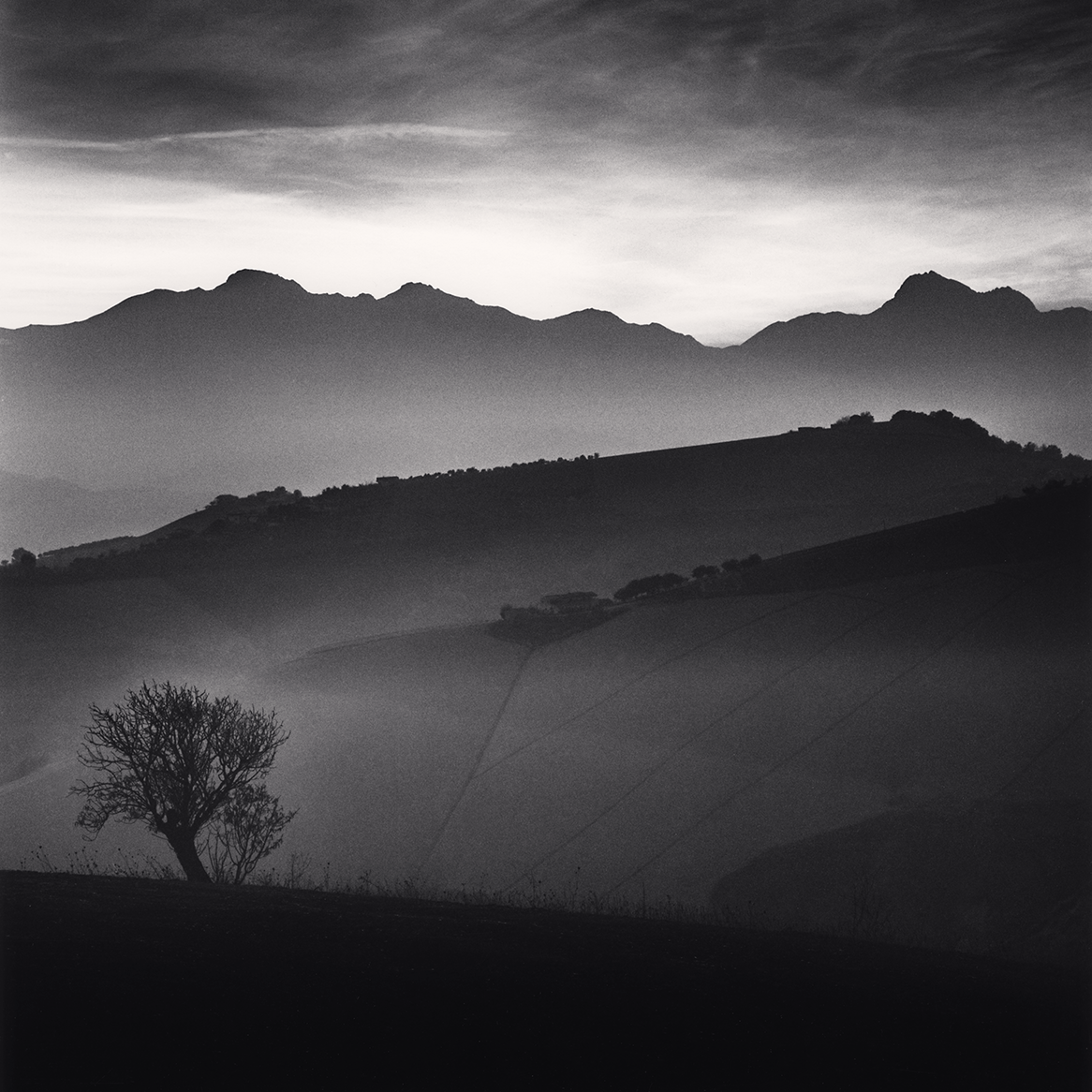 Tree and Gran Sasso Mountain, Castilenti, Abruzzo, Italy. 2015