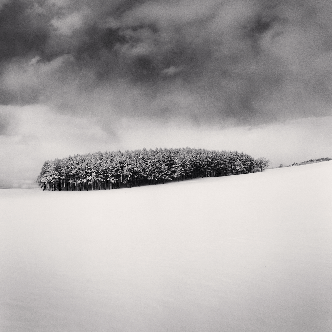 White Copse, Study 2, Wakkanai, Hokkaido, Japan. 2004